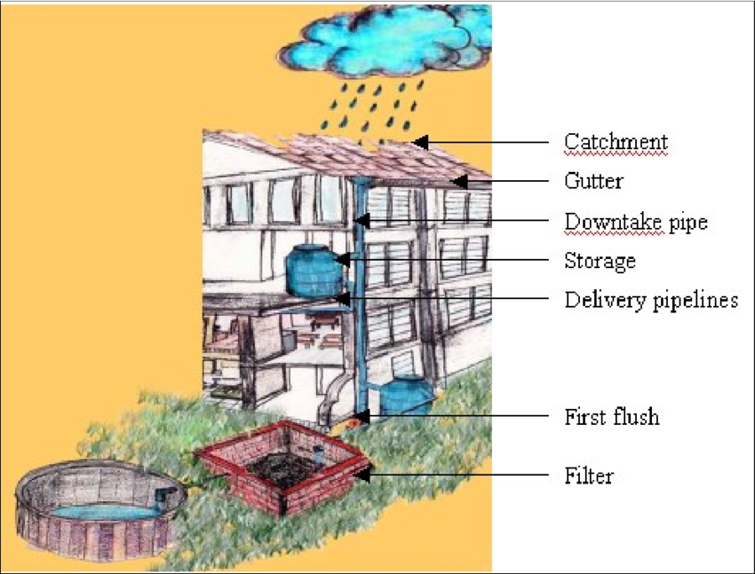 Components of a Rainwater Harvesting System