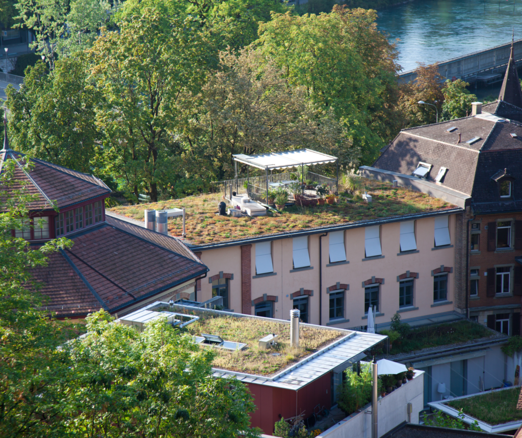Green Roof Harvesting