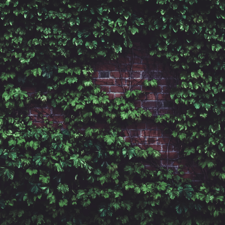 Green Wall Types